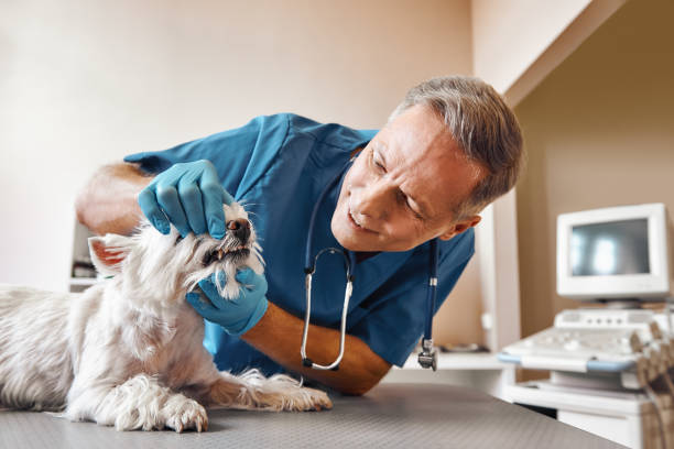 Best Weekend Emergency Dentist in Lawrenceville, VA